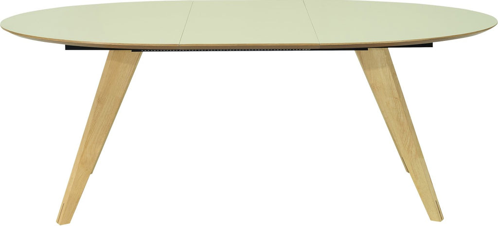 RYDER OVAL (extendable) test