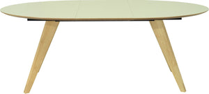 RYDER OVAL (extendable) test