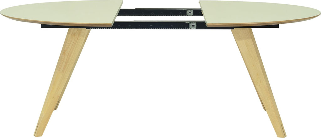 RYDER OVAL (extendable) test