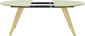 RYDER OVAL (extendable) test