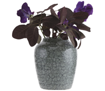 vase